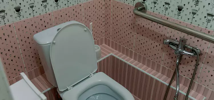 Meeting Diverse Needs With Accessible Restroom Solutions in Strathmore, AB