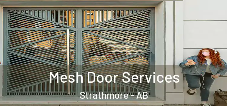 Mesh Door Services Strathmore - AB